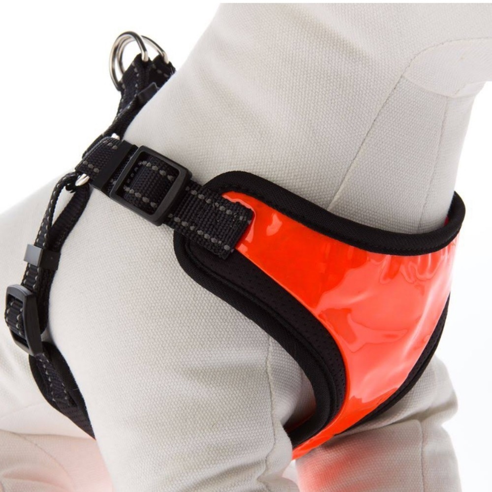 Hi-Visibility Reflective Dog Harness | Neon Orange